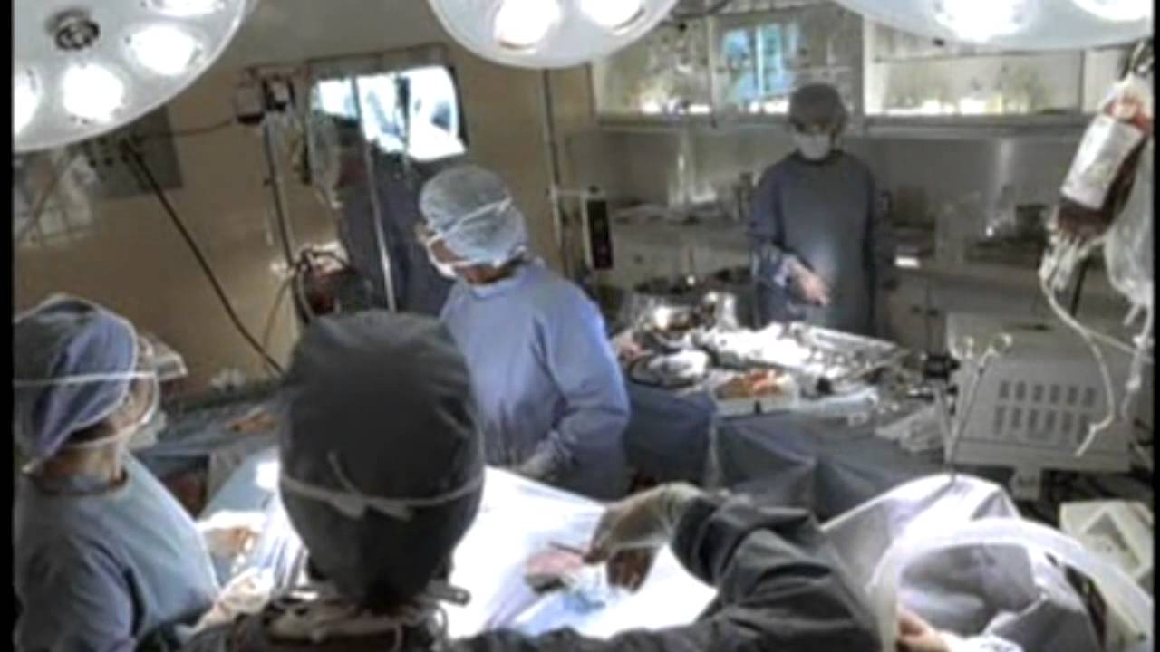 Holiday Inn Express Surgeon
