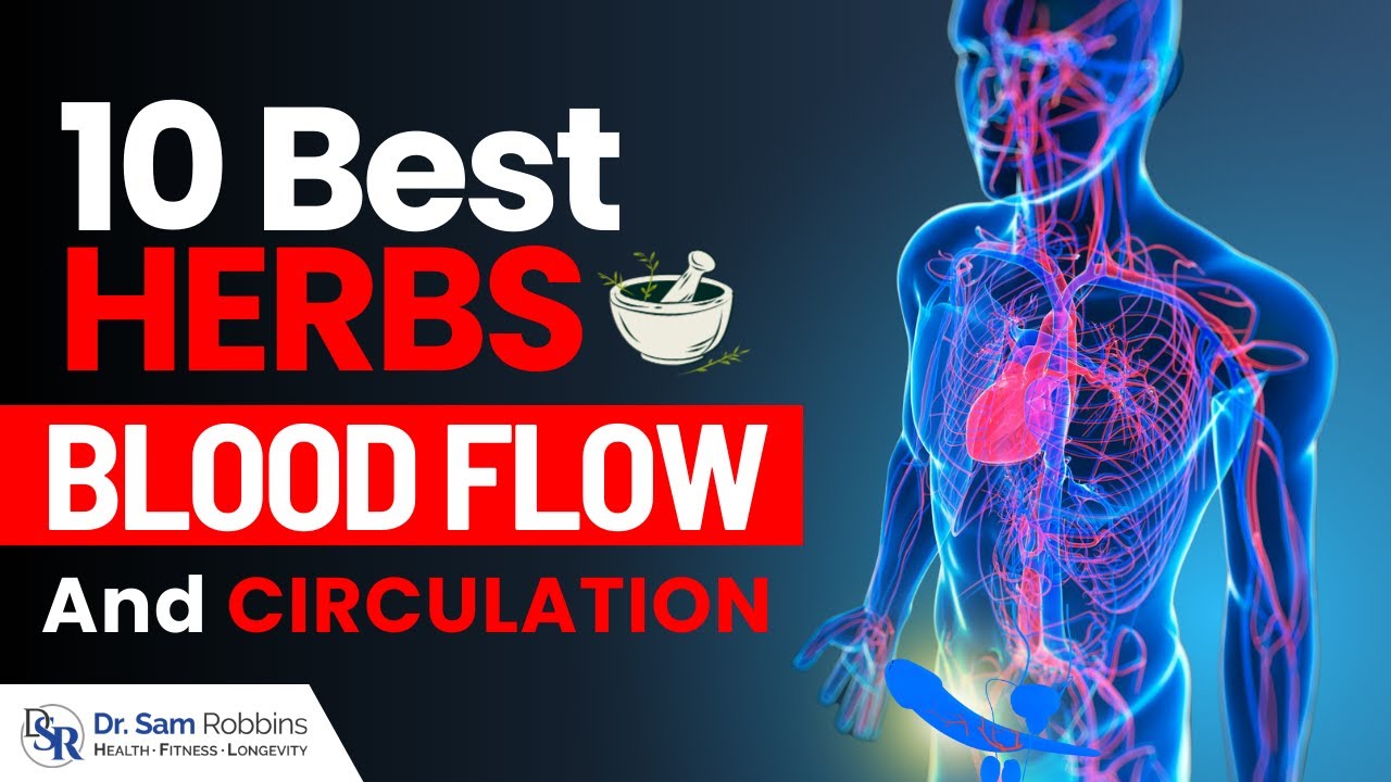 𝗜𝗺𝗽𝗿𝗼𝘃𝗲 𝗕𝗹𝗼𝗼𝗱 𝗙𝗹𝗼𝘄 𝗖𝗶𝗿𝗰𝘂𝗹𝗮𝘁𝗶𝗼𝗻 - 10 Proven Herbs