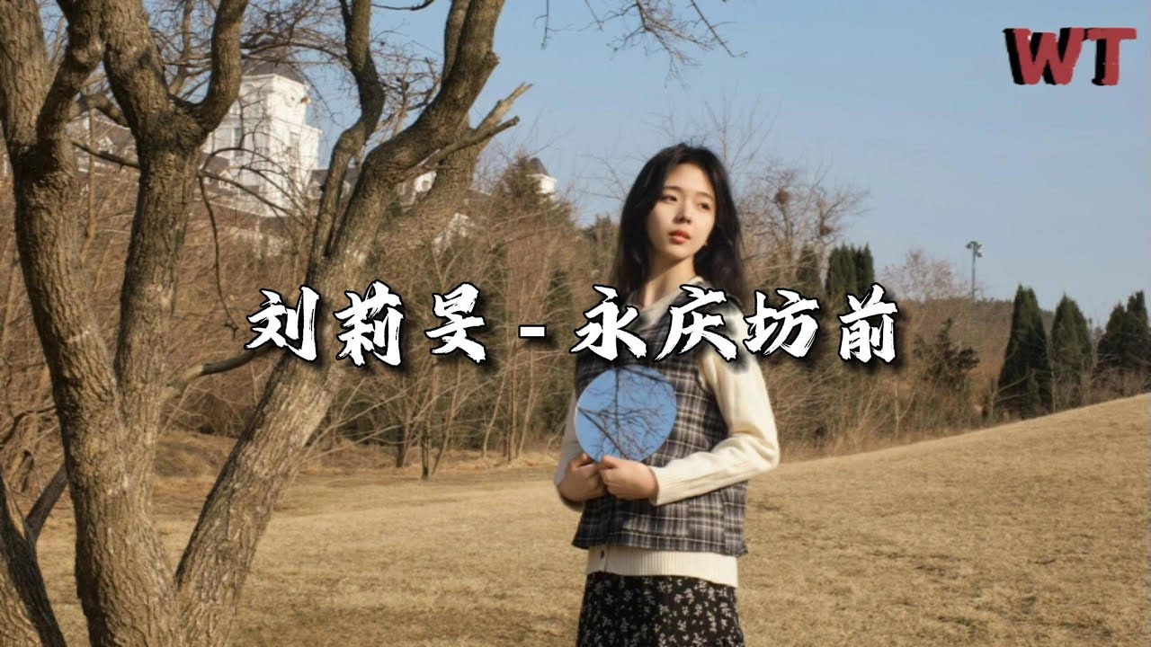 刘莉旻 - 永庆坊前『流连在往事如梦里多想见你,即使换了场地。』【动态歌词MV】