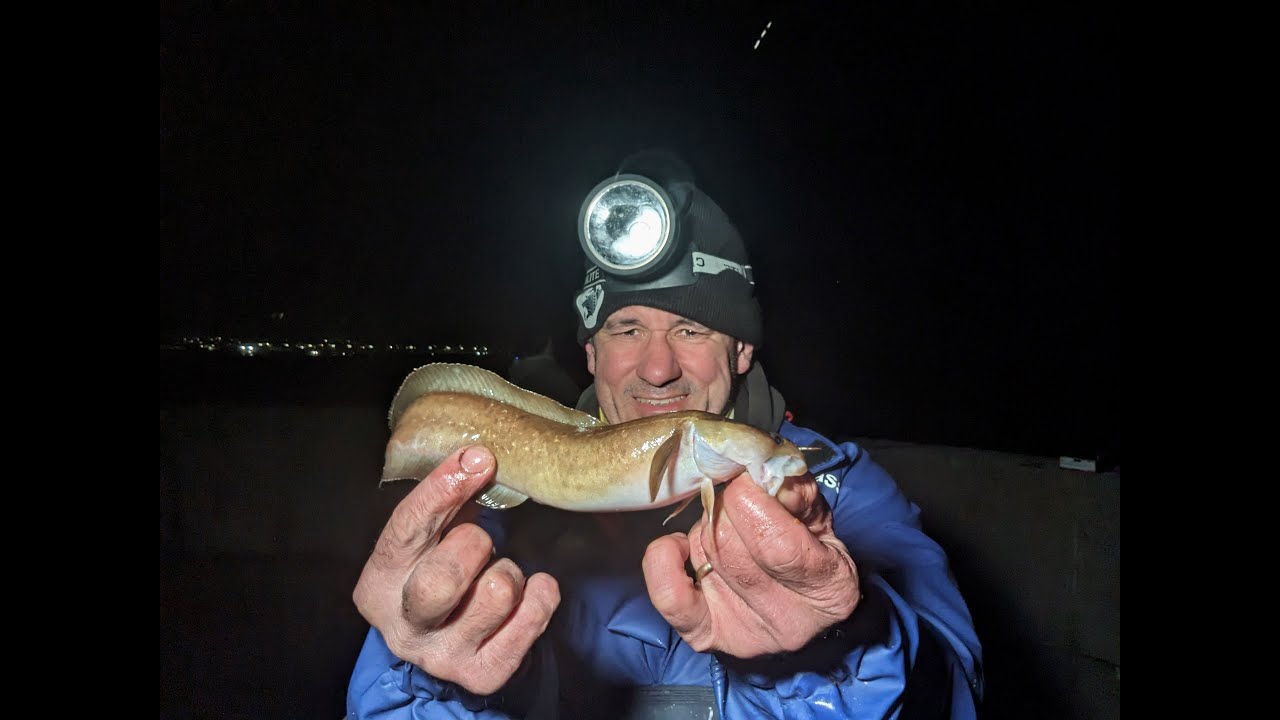 Hunting for species at Holyhead Breakwater - Anglesey