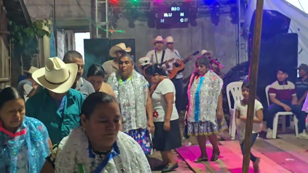En la fiesta de la señora rosa