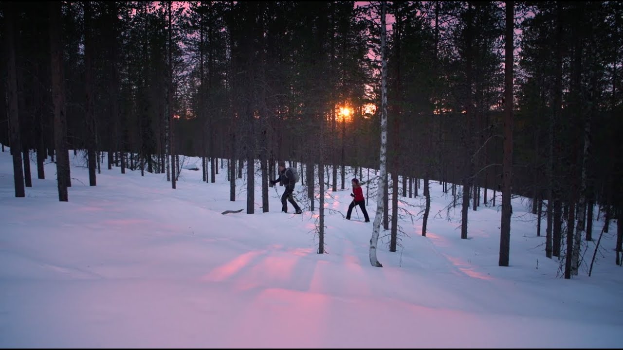 OAC Skinbased XCD 160 - Adventure in Lapland