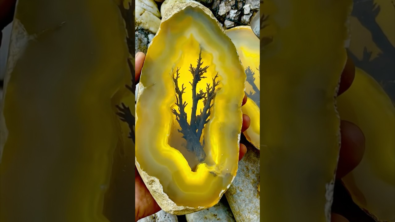 the most expensive stone among the millions of stones that have been exposed #stone #treasuresearch