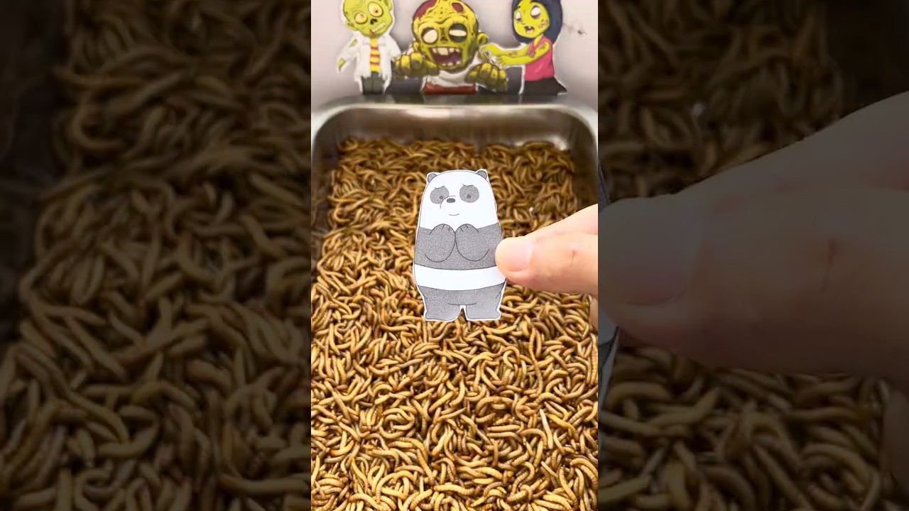 Caterpillar Vs Panda! 