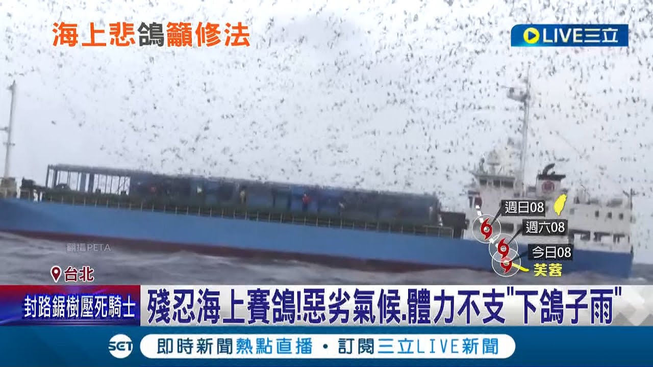 悲