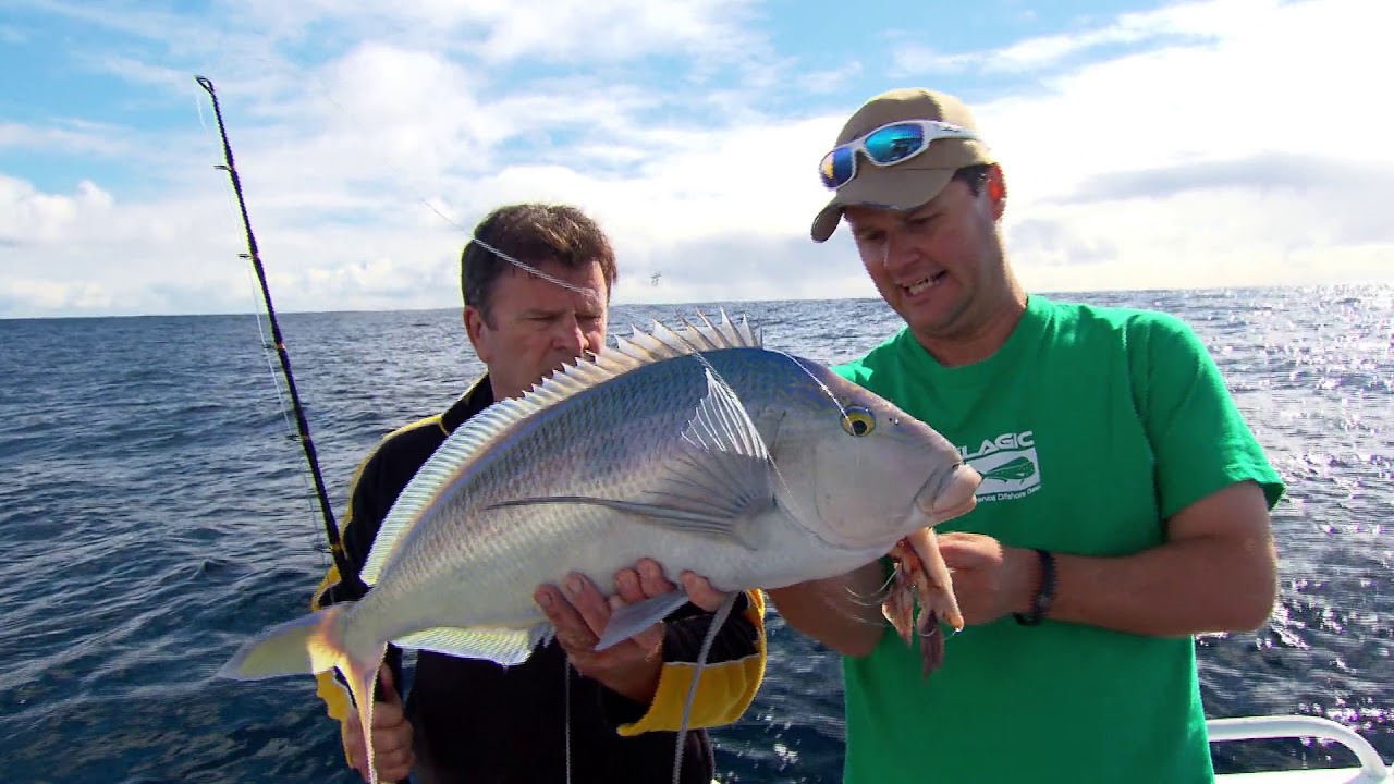 IFISH Марион-Бэй