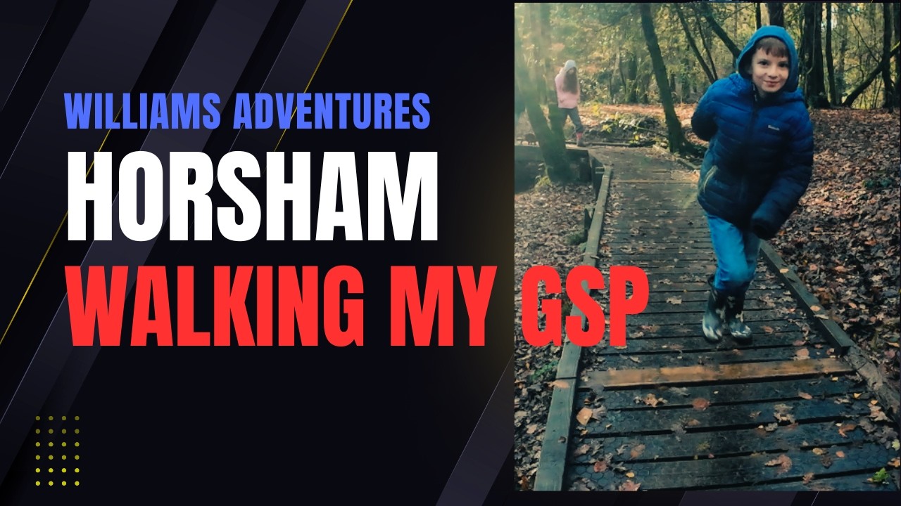 Dog Walk Adventure! German Shorthaired Pointer at Horsham Broadwalk 🐾