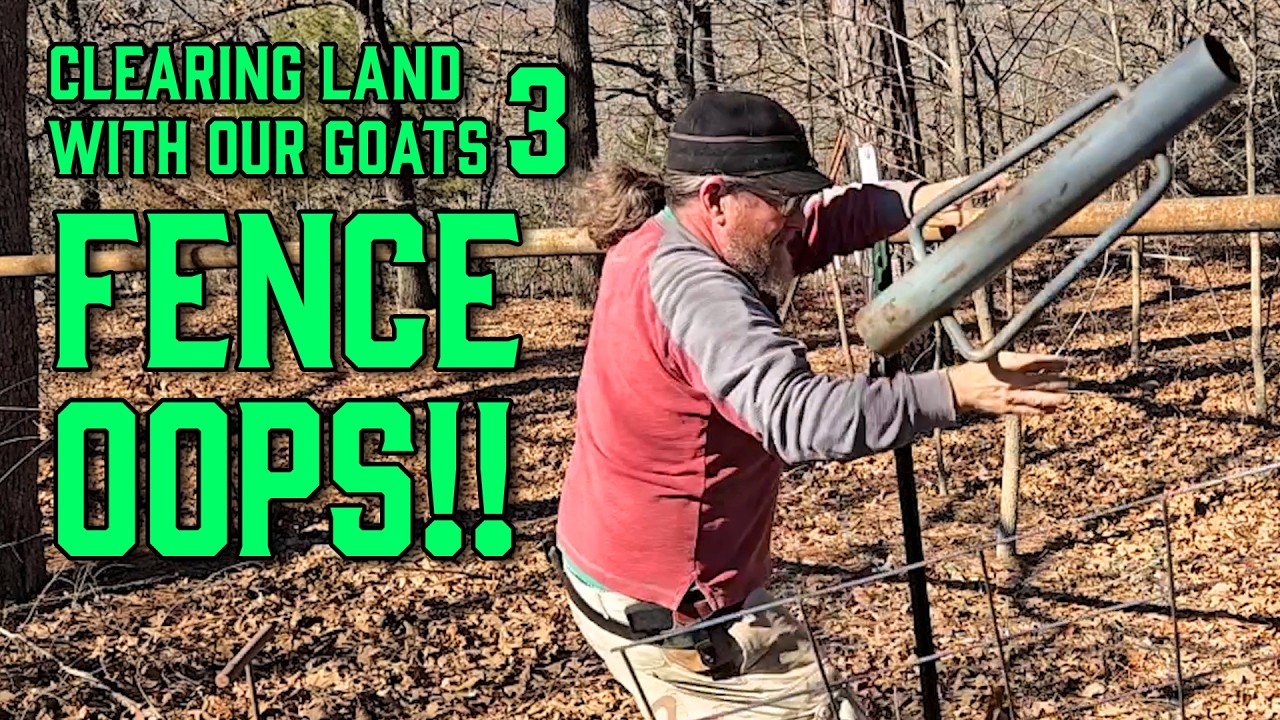 Garden Goat Pen - Part 3 - 2.11.26