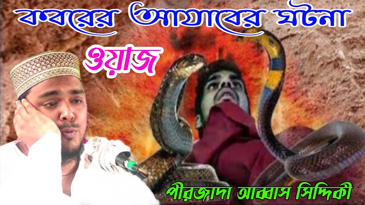 কবরের আযাবের ঘটনা পীরজাদা আব্বাস সিদ্দিকী ওয়াজ Pirzada abbas siddiqui waz Jalsa Gojol
