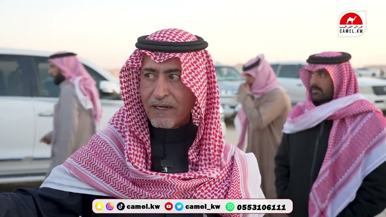 ( الوشاح الأول ) التتويج بوشاح أقوى قيمة سوقية بمزاد الشرقية للإبل بالصرار