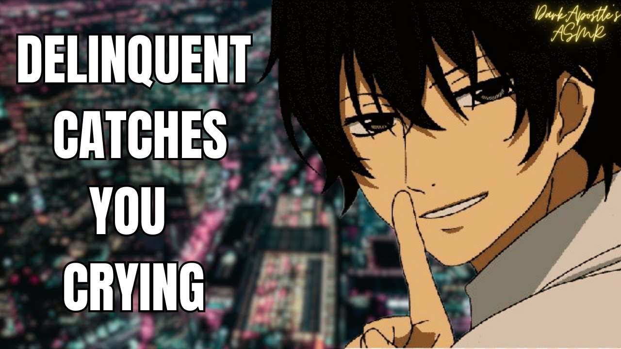 [M4A] Delinquent Catches You Crying [ Bully x Listener]  [Possessive] [Protective]