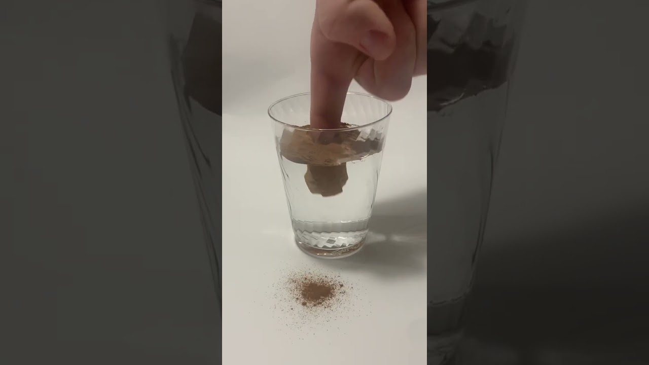 Cinnamon powder is hydrophobic (water-hating)&hellip; #science #cinnamon #hydrophobic #ladybugscience #h2o