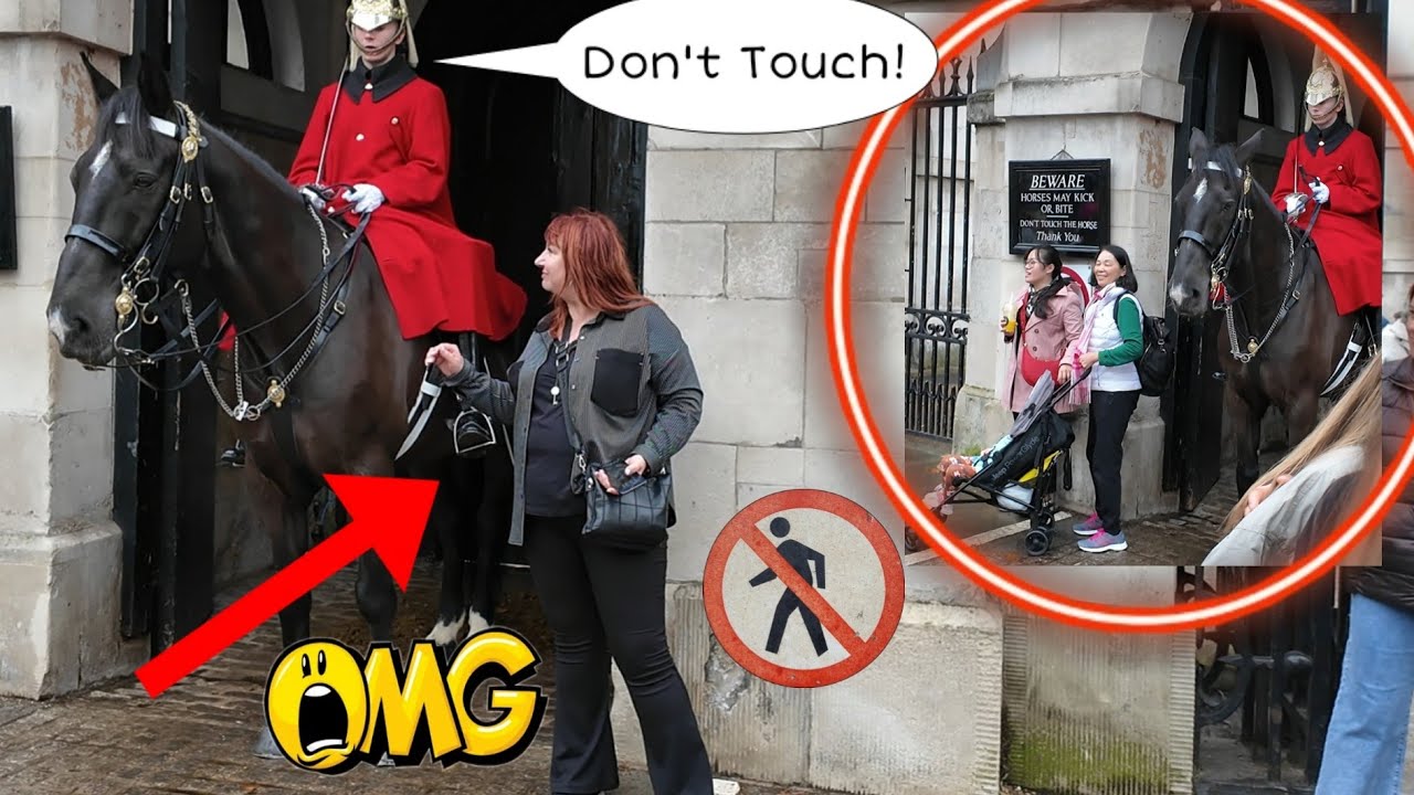 The Guard immediately retreated from the tourist entering the box as a lady tried to hold the horse!
