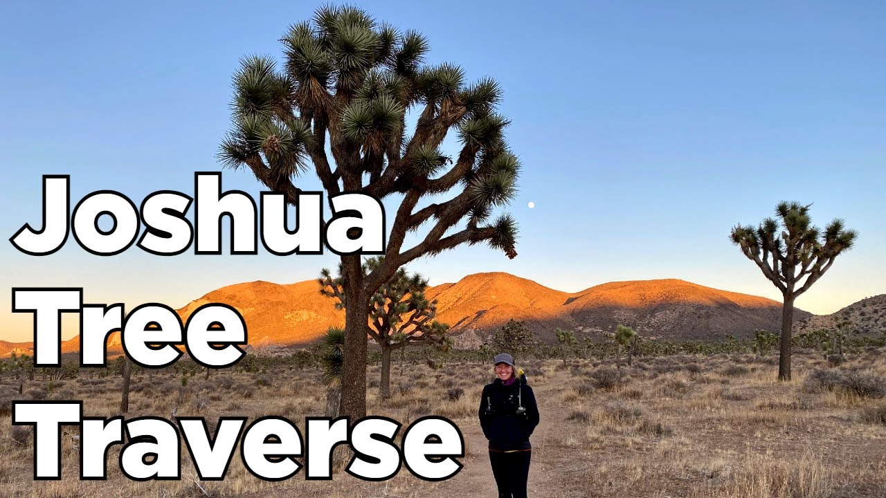 Joshua Tree Traverse | California Riding and Hiking Trail | 37.5 Miles, 3,200 ft Gain