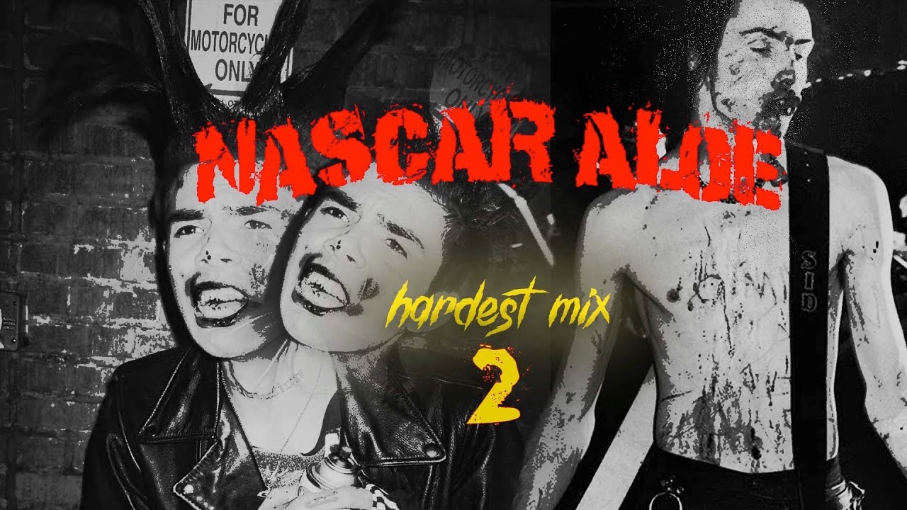 Nascar Aloe RARE Hardest Mix Pt 2 (with transitions)