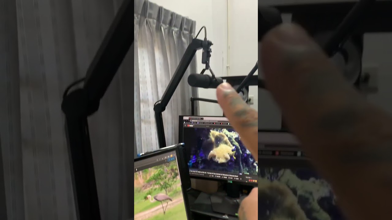 My Home Work Studio Setup, Upgrade & Change - 22nd July 2022 #shorts #studiotour #loymachedo