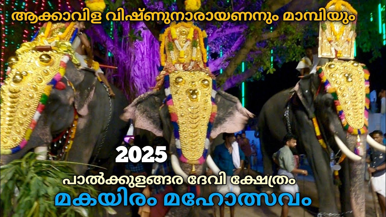 പാൽക്കുളങ്ങര ദേവീക്ഷേത്രം മകയിരം മഹോത്സവം2025| Palkulangara Devi Temple Kollam