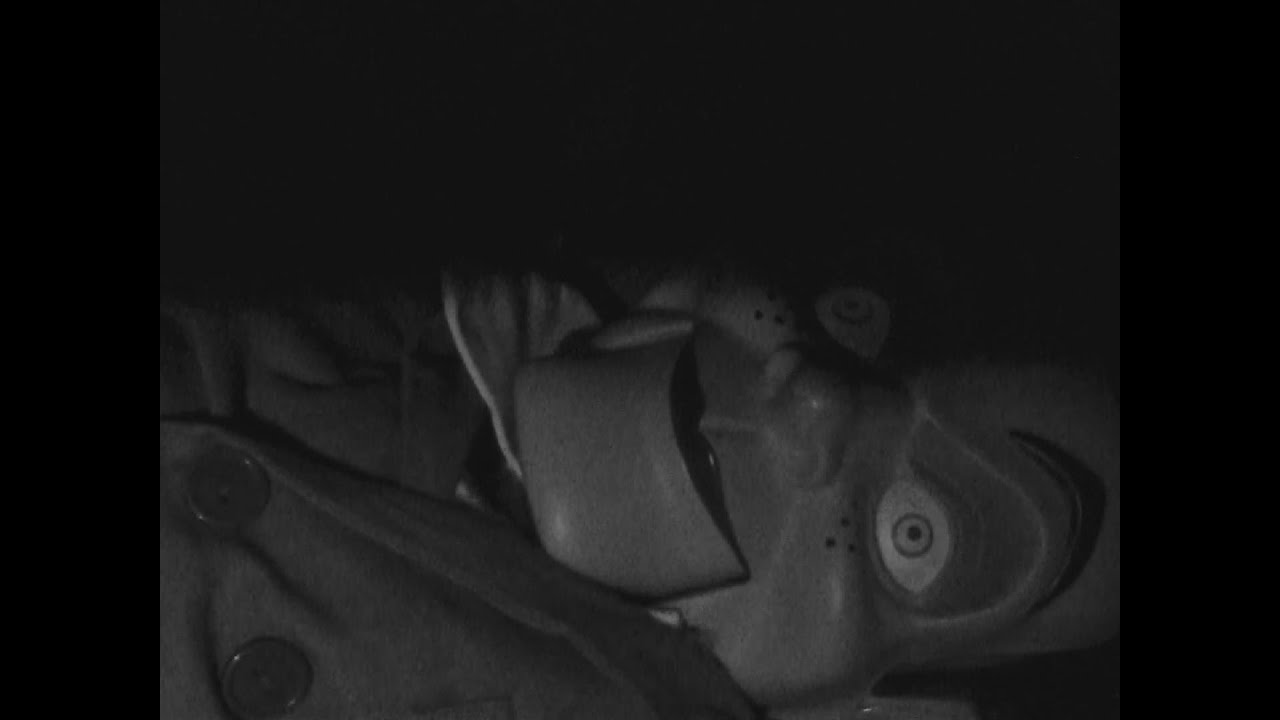 Curse of the Living Dummy (2011)