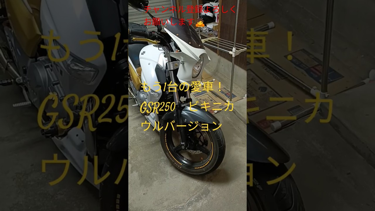 GSR250！ビキニカウルカスタム！＃SUZUKI＃スズキ＃ビキニカウル