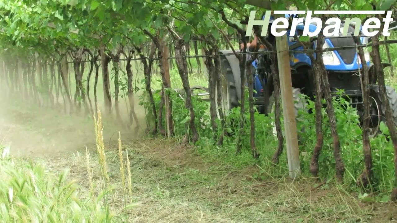 Diserbo Meccanico - Spollonatore Telaio | Mod. SPL-T | Herbanet2000