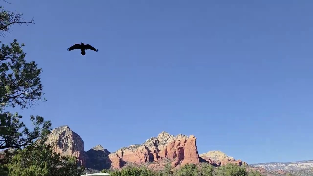 Jan 29 30 , 2026 Sedona Part II