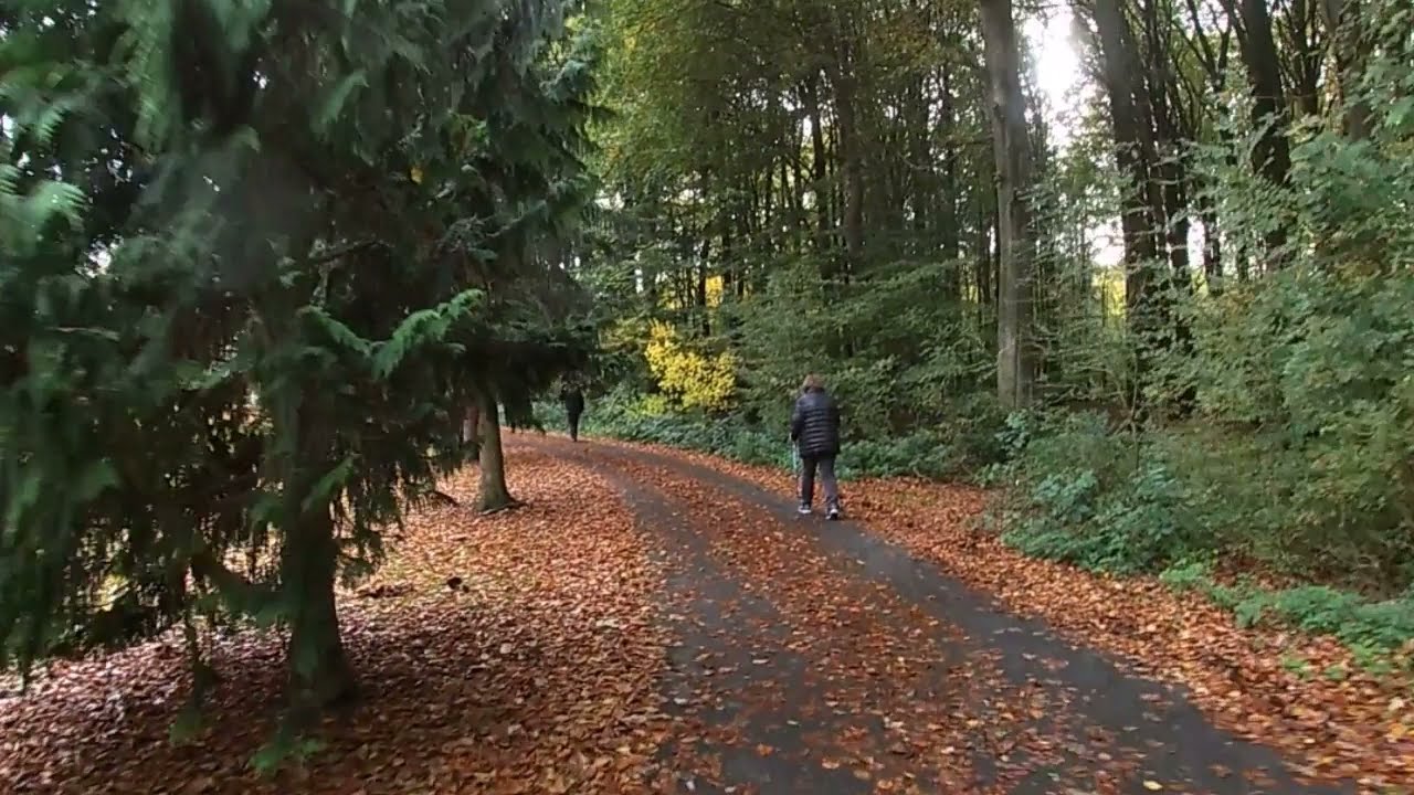 Sønderskoven Mountain bike 2