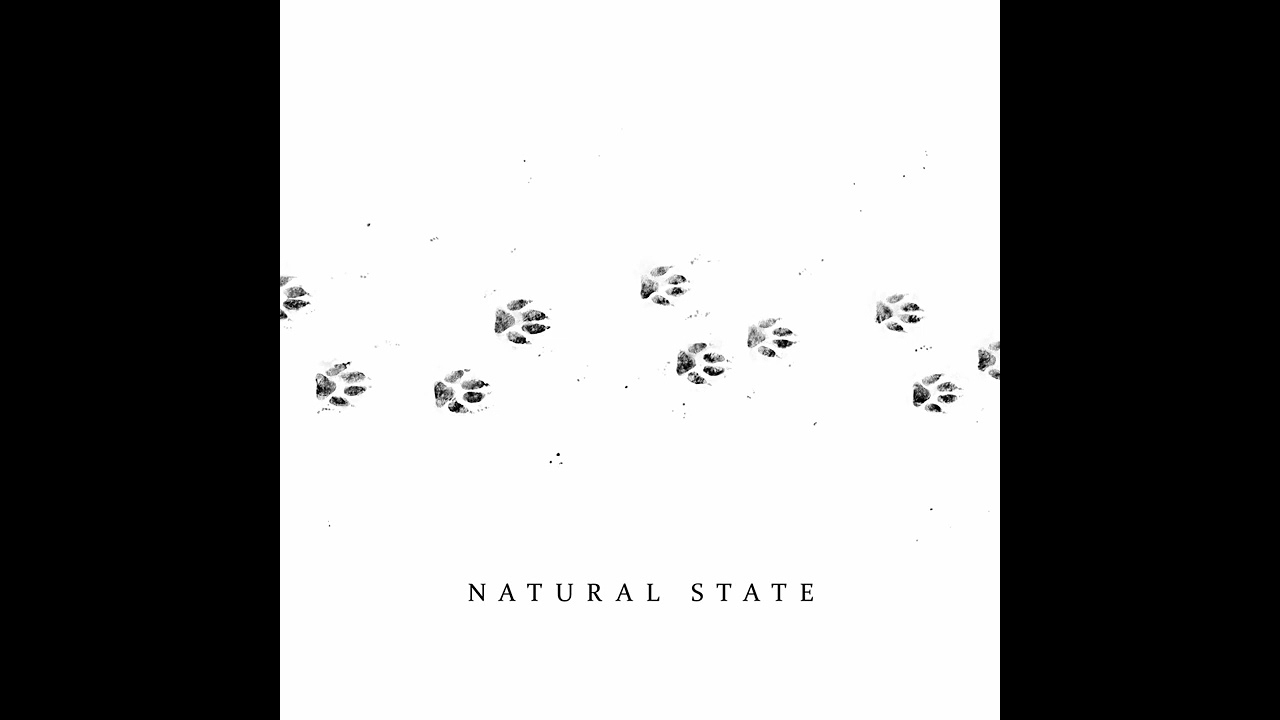 Quiet Machine - Natural State