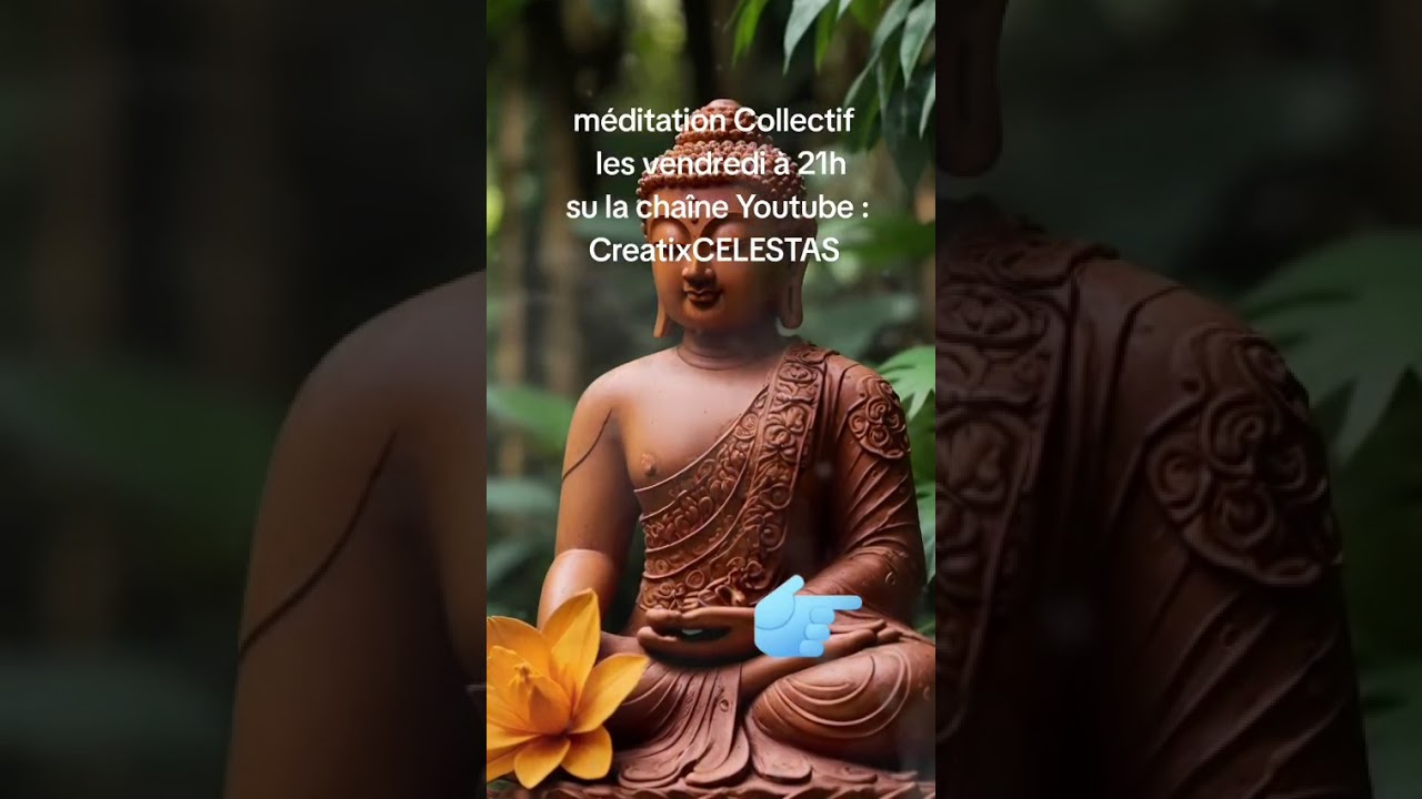 Méditation ensemble connecté mais chaque chez soi