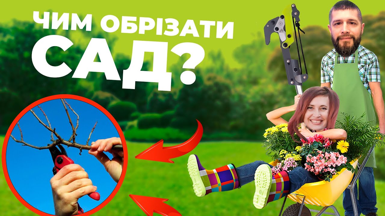 Який секатор краще? Обрізка плодових дерев. Основні правила обрізки.