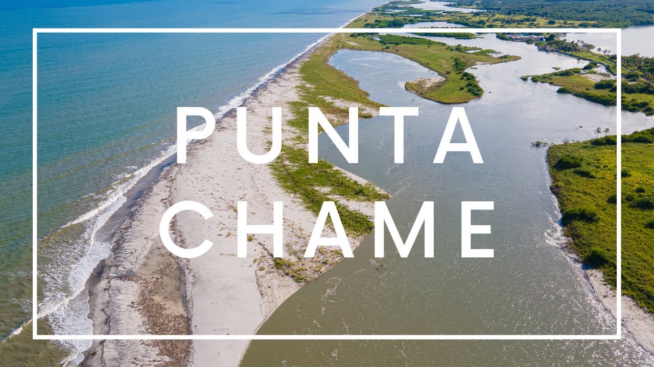 🌿🍀Punta Chame y el Gran Humedal de su Bahía  | Ciudadano del Mundo | 4K