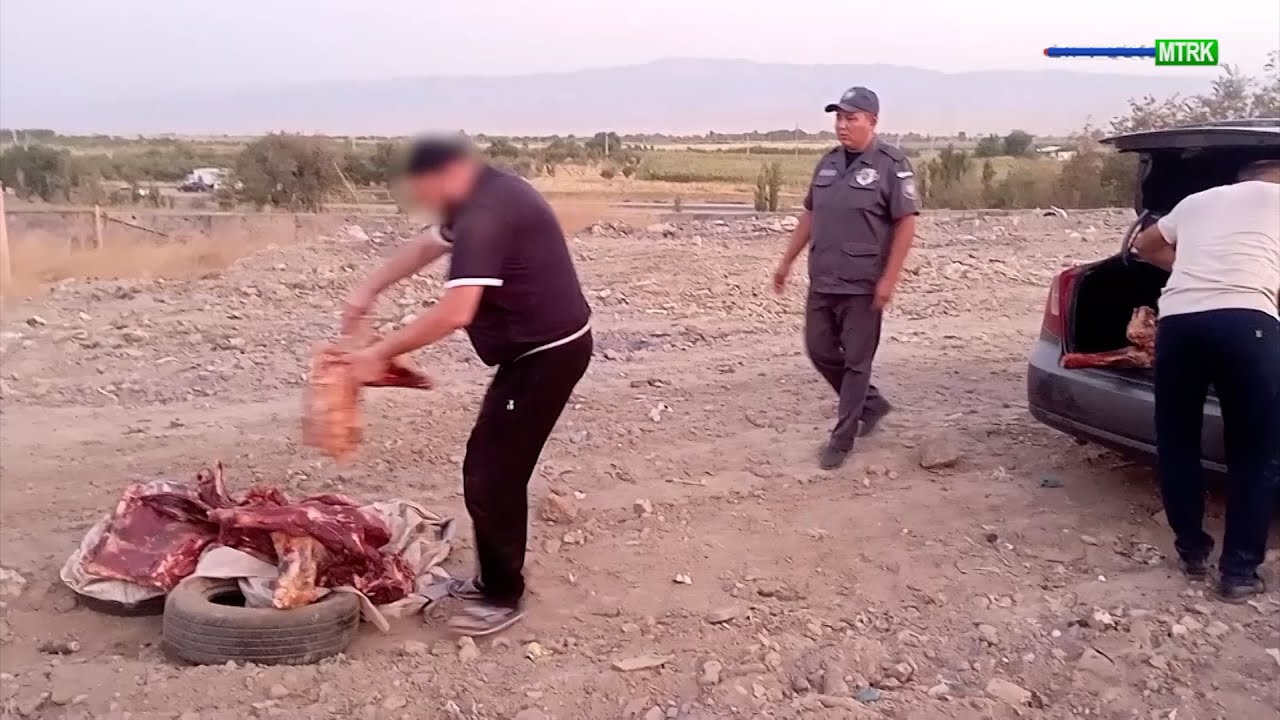 Iste'molga yaroqsiz bo'lgan 386 KG go'sht yo'q qilindi  I Qonun himoyasida