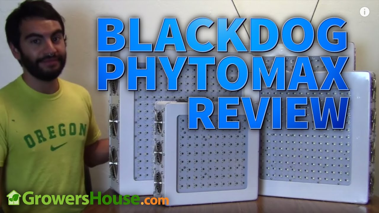 Тест и обзор светодиодного светильника BlackDog Phytomax LED GrowLight