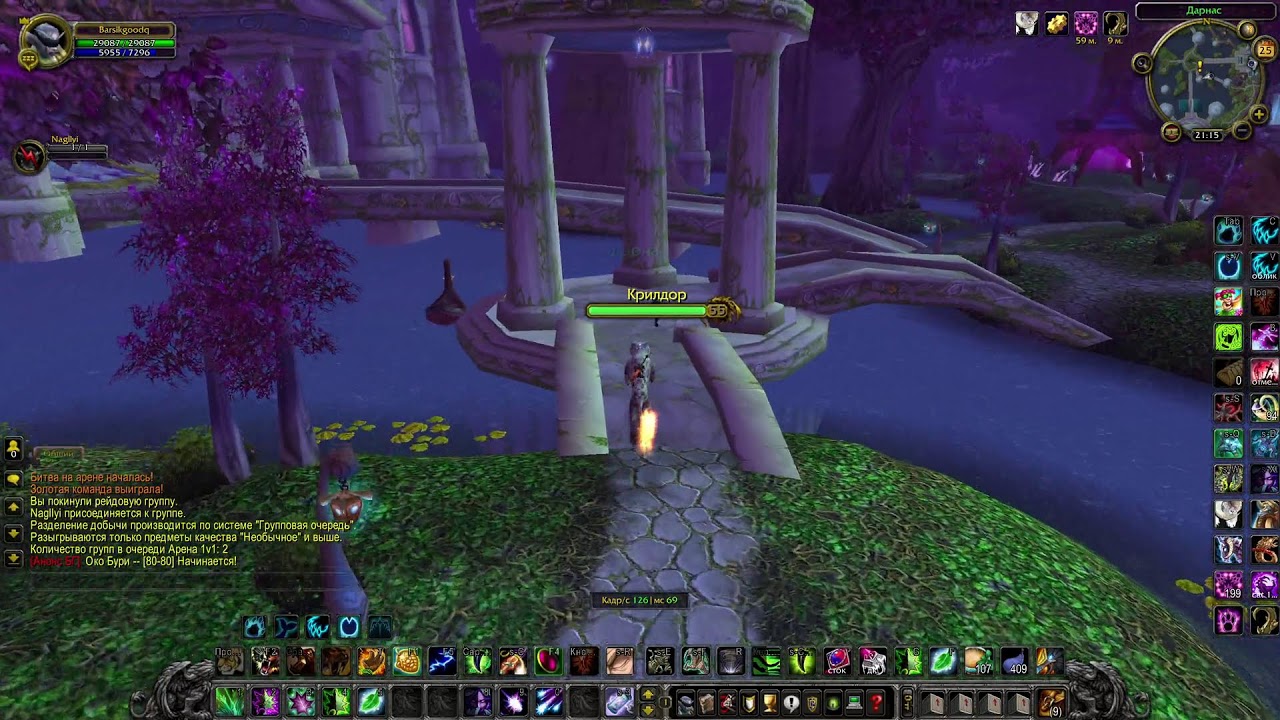 1х1 arena Non Stop Rega _ FERAL CAT World of Warcraft: circle