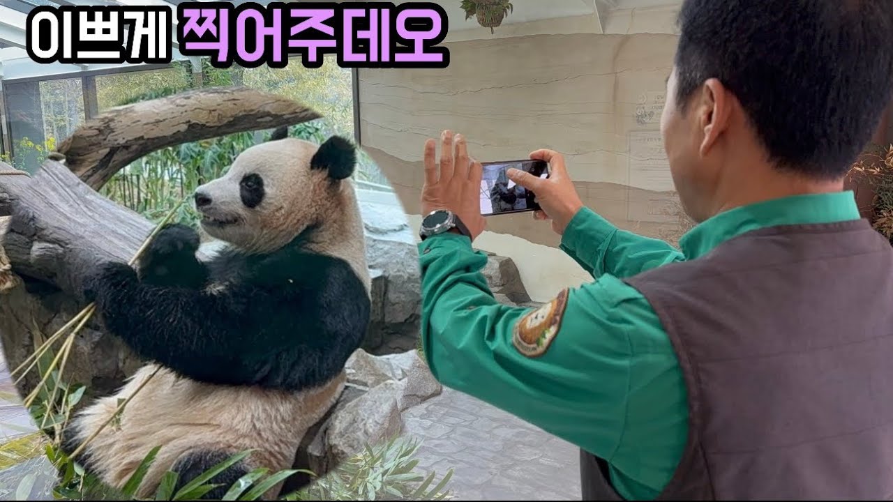 할부지~루이는 이미지 있으니까 이쁘게 찍으데오🤣🥰