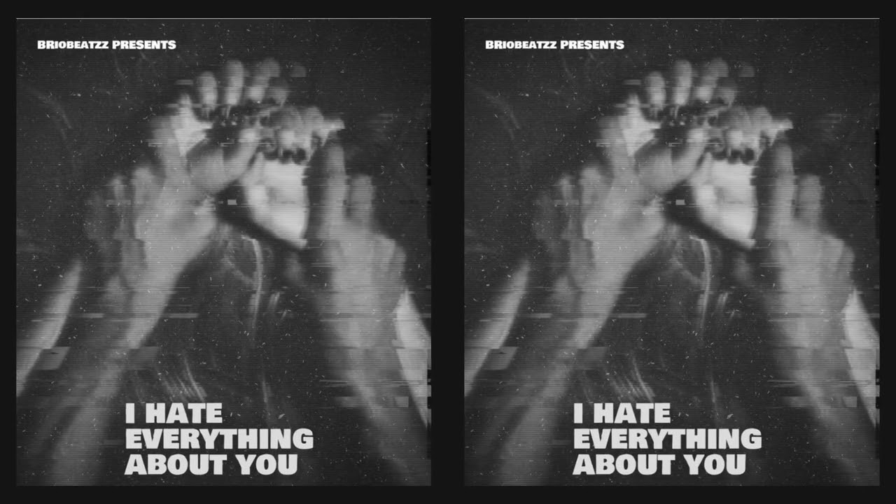 i hate everything about you (remix)(prod by BrioBeatzz)
