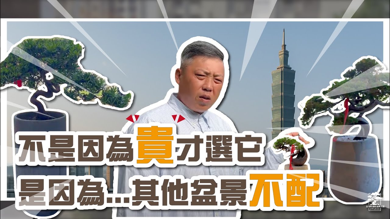 不是因為貴才選它，是因為其他盆景不配‼️｜台灣銘園庭園美術館｜