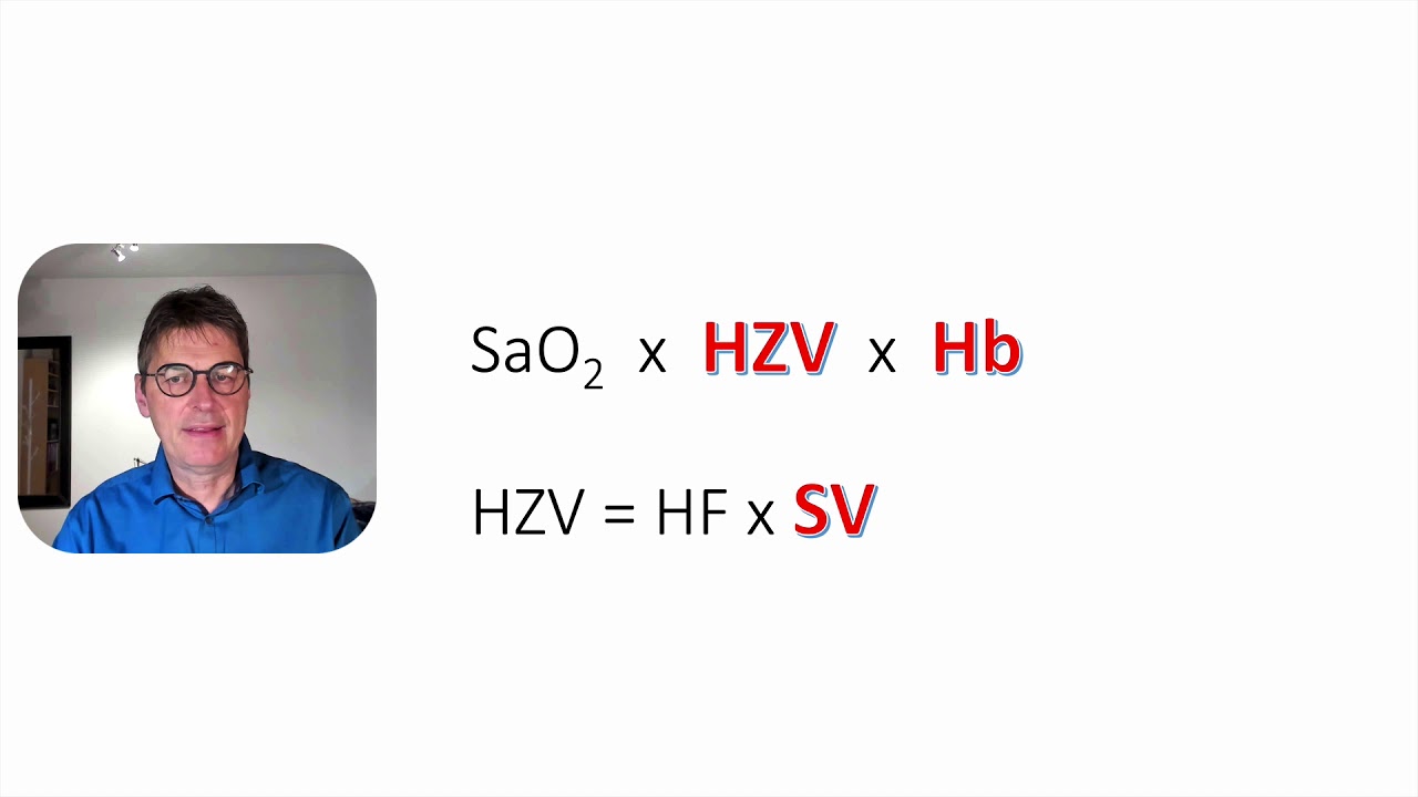 Intensivmedizin Basics Schock Teil 1