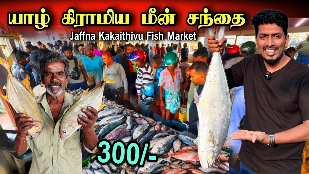 யாழில் ஏலம் விடும் நேரடி காட்சி 😍🐟 300/- ரூபாய்க்கு மீன்கள் 😮 | Jaffna Fish Market 🦈