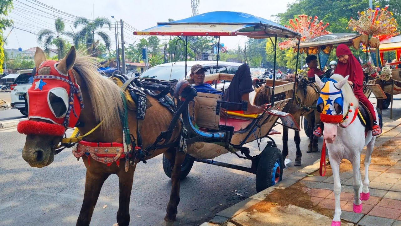 KUDA ▪︎ Naik Kuda Delman BKT, KAJEN Pekalongan dan PRIOK ▪︎ Lagu Naik Delman Remix Terbaru