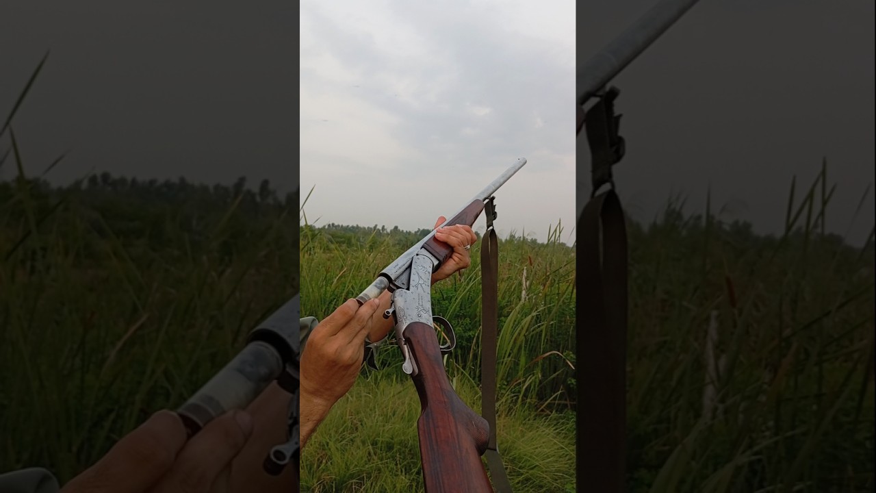 Best 12 Gauge Shotgun for Hunting: A Comprehensive Review