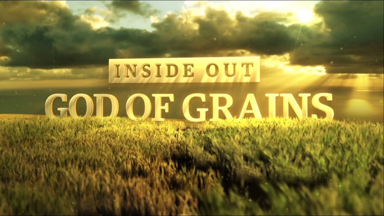 THE GOD OF GRAINS- ENGLISH -  DISCOVERY CHANNEL - STORY OF KRBL - INDIA GATE BASMATI RICE
