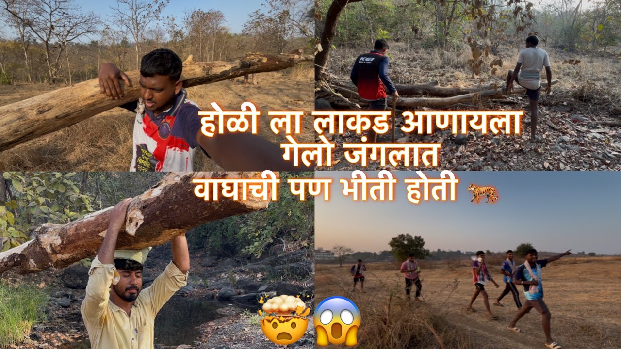 // होळी ला लाकड आणायला जंगलात गेलो ,वाघाची 🐅 पण भीती 🤯 होती //