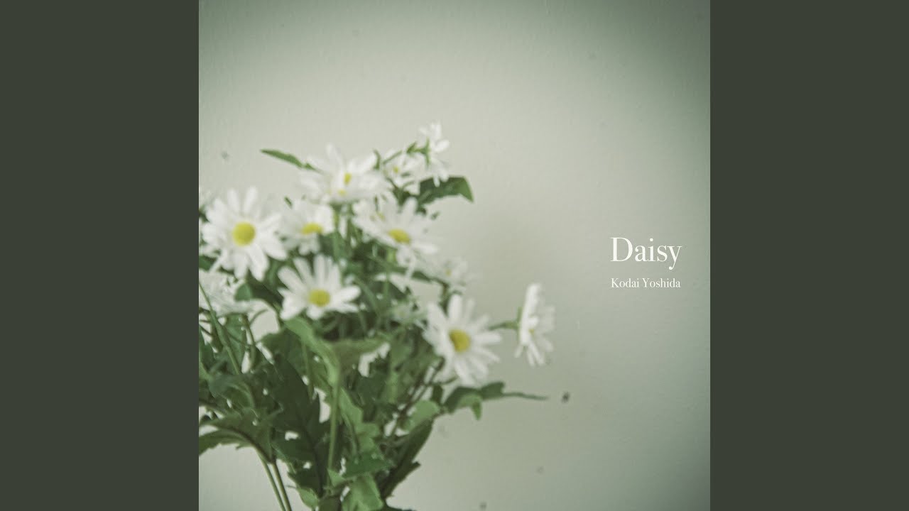 Daisy
