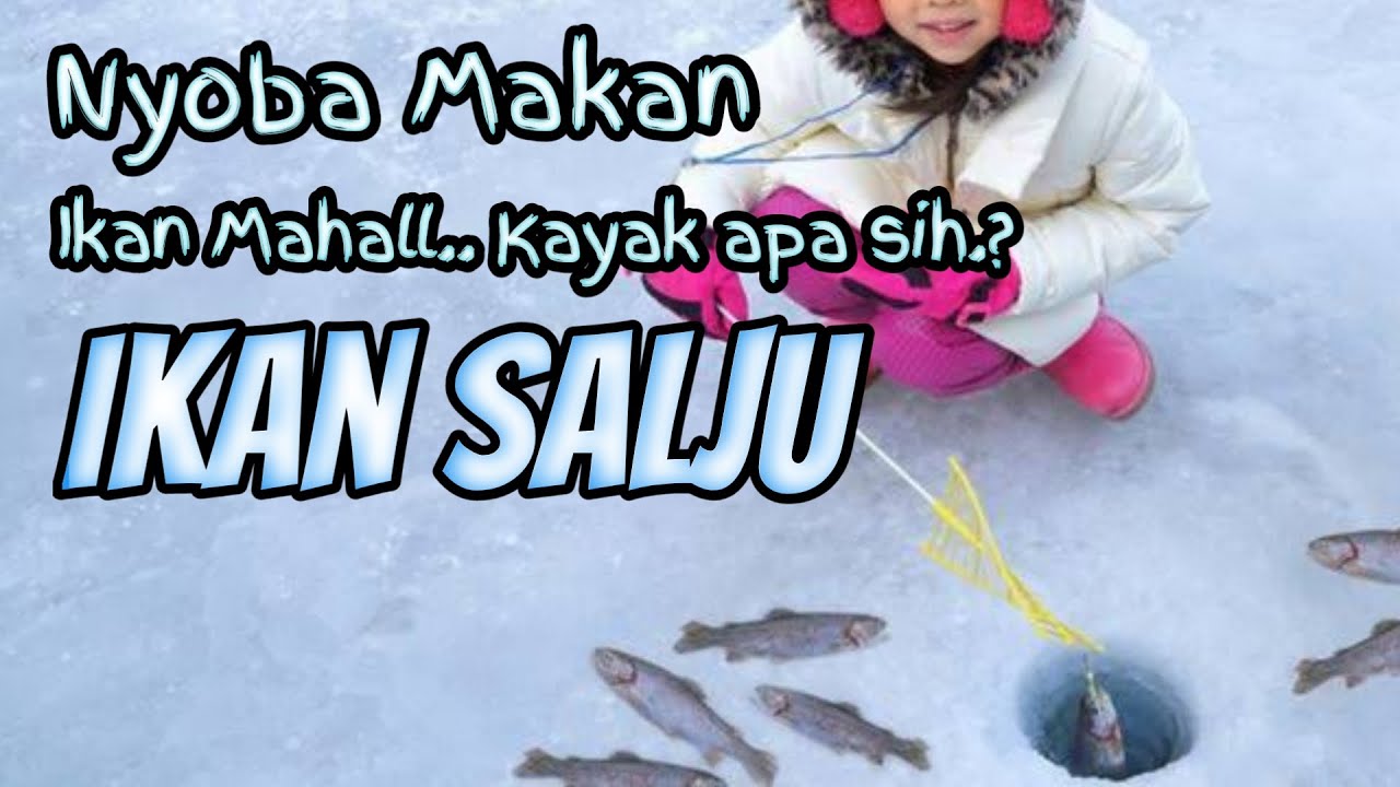 Makan Ikan Salju di Indonesia #deldido