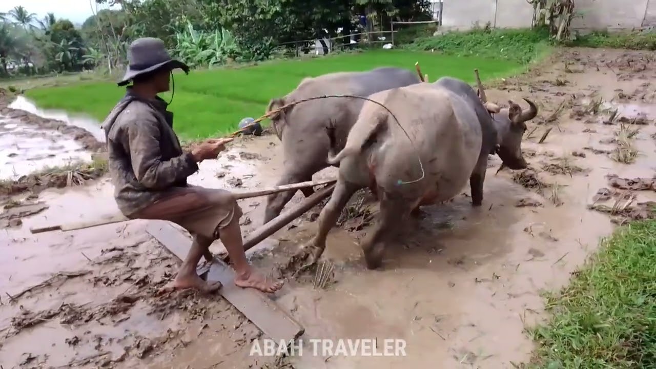 Suasana Warles&Taman Bunga Abah Vloger#Abah Traveler#fyppppppp