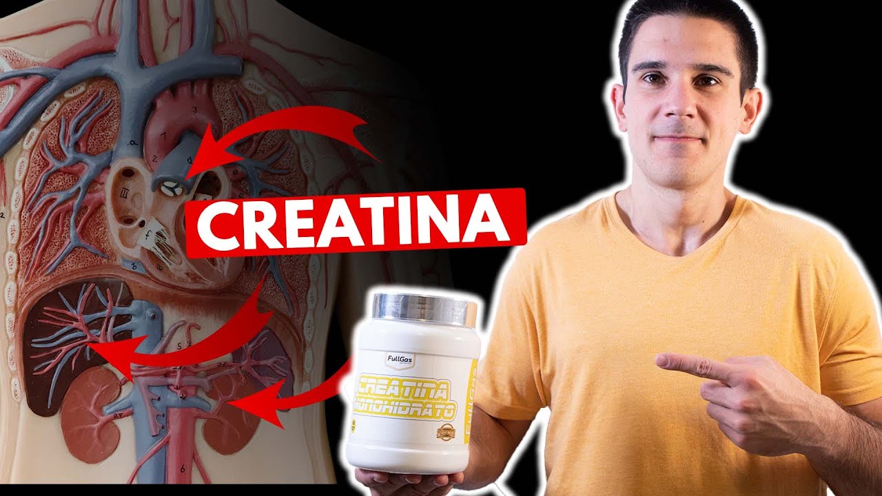 Los Increibles Beneficios de la Creatina Más Allá del Músculo