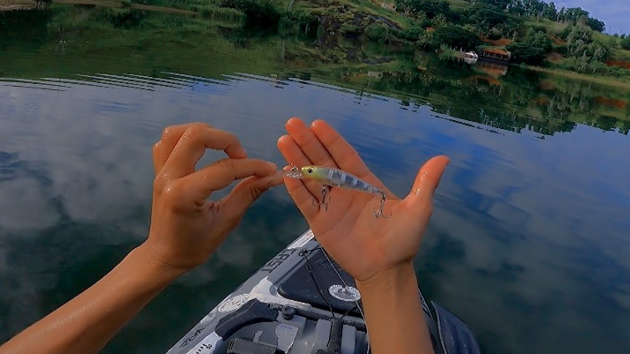 💥PESCARIA MUITO PRODUTIVA PEGAMOS VÁRIAS ESPÉCIES DE PEIXE essa isca fez a diferença DEEP SHAD YARA
