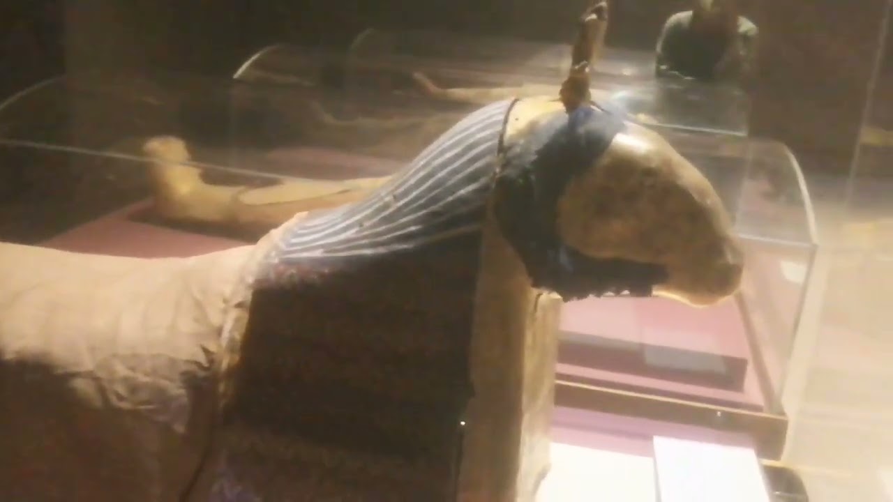 #متحف _النوبة ب#أسوان معروضات المتاحف صور و#اثار_فرعونيه Egyptian museums# Nubian Museum#Aswan