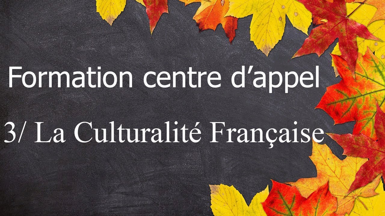 Formation Centre d'Appel - 3 - la Culturalité Française part1