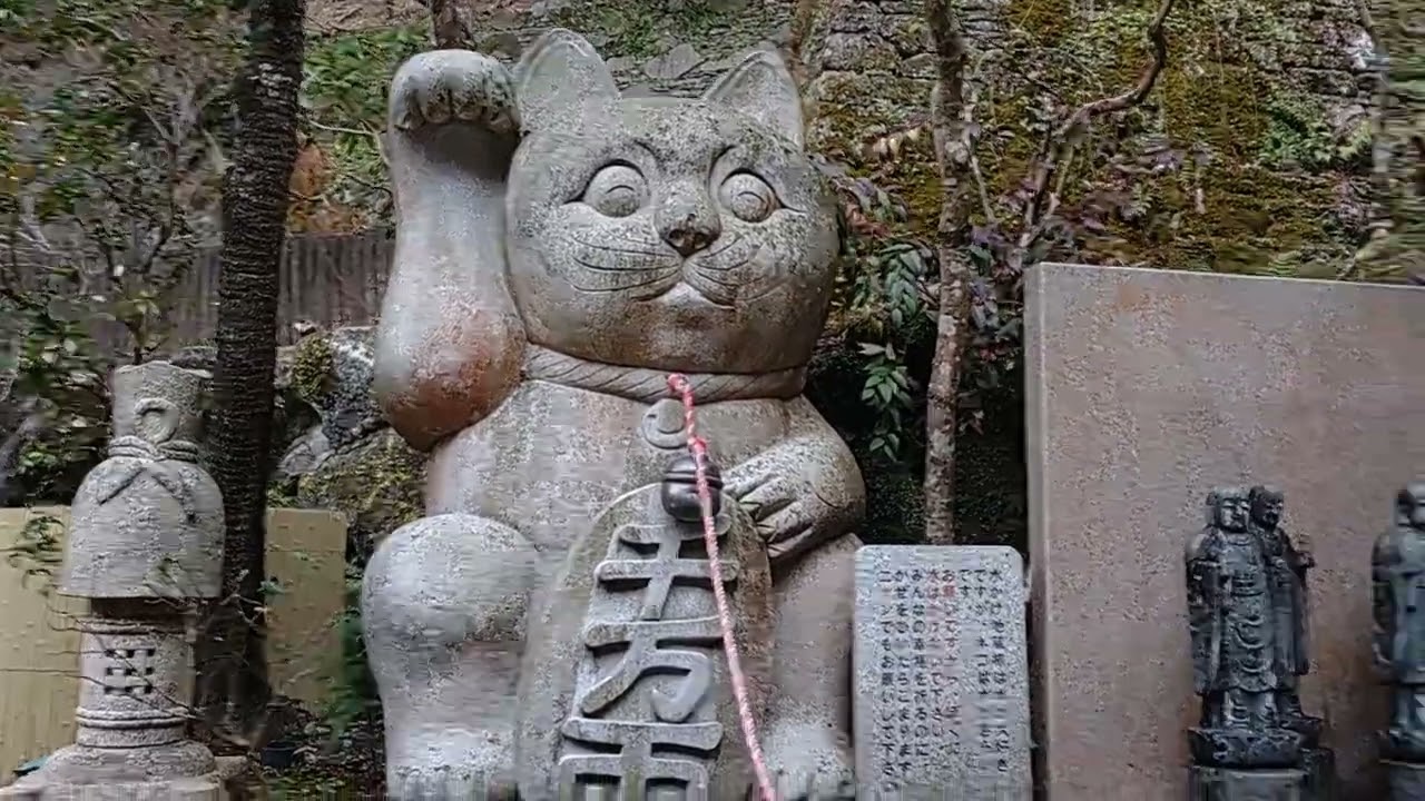 南蔵院その1(2026年２月２２日日曜日)#南蔵院